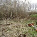 débroussaillage lit mineur