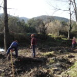 lit mineur cours d'eau