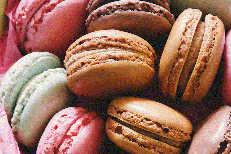 PLAN ALIMENTAIRE